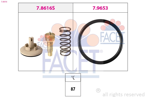 78616 Facet