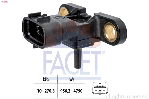 103163 Facet