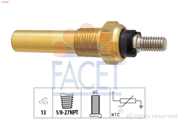 73135 Facet