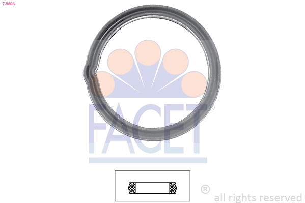 79608 Facet