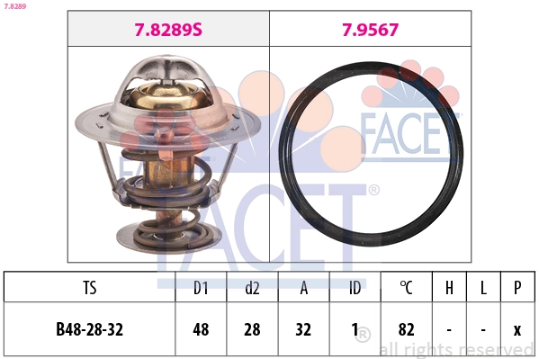 78289 Facet