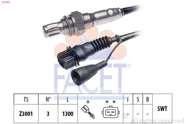 107051 Facet