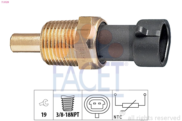 73129 Facet