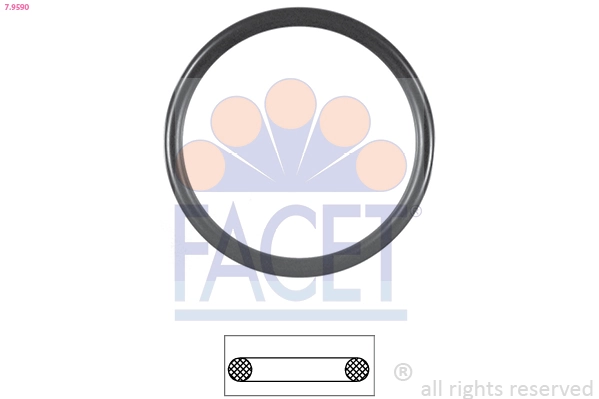 79590 Facet