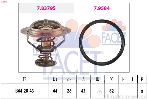 78649 Facet