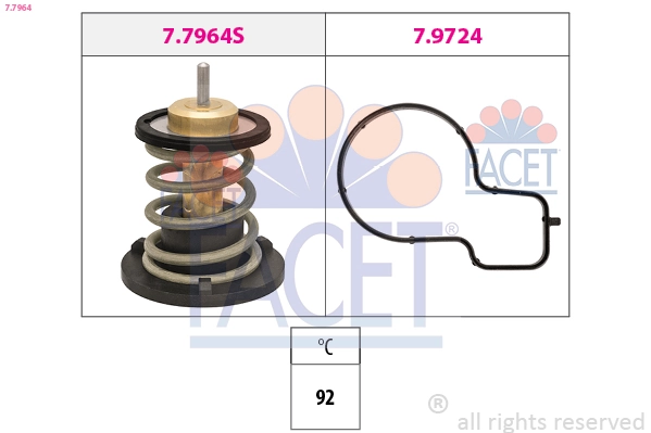 77964 Facet