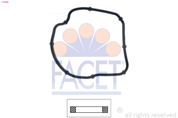 79645 Facet