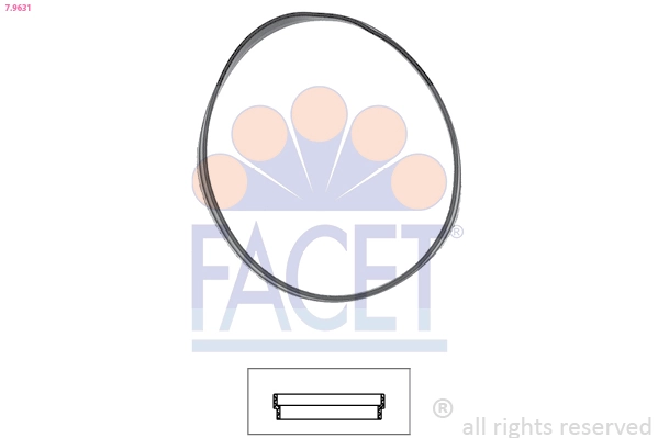 79631 Facet
