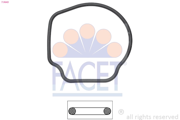 79643 Facet