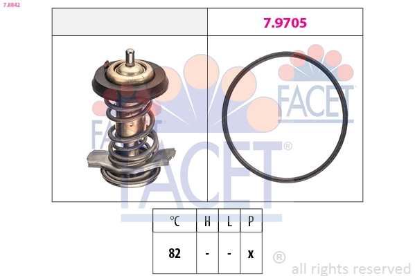 78842 Facet