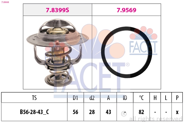 78444 Facet