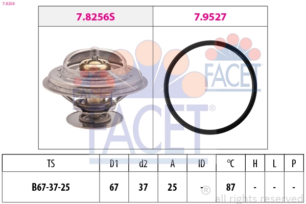 78256 Facet