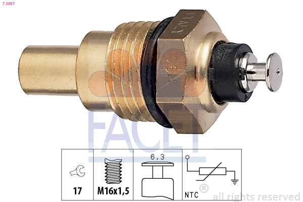 73067 Facet