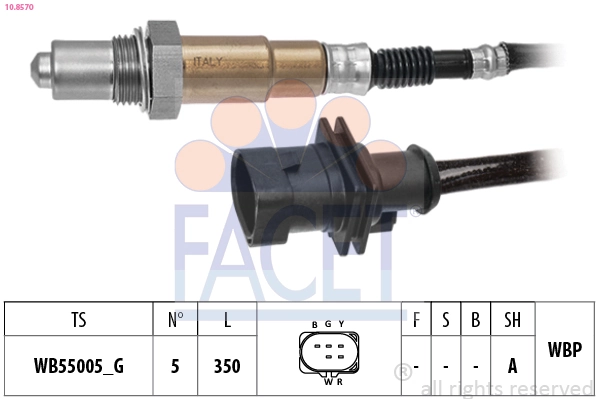108570 Facet
