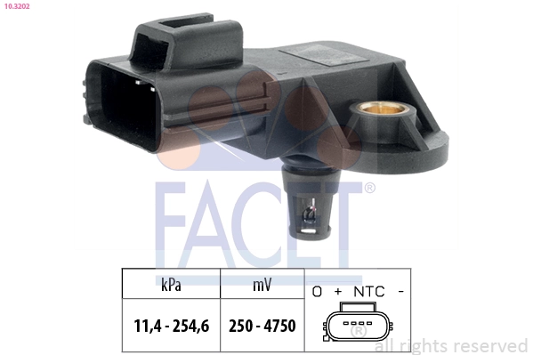 103202 Facet