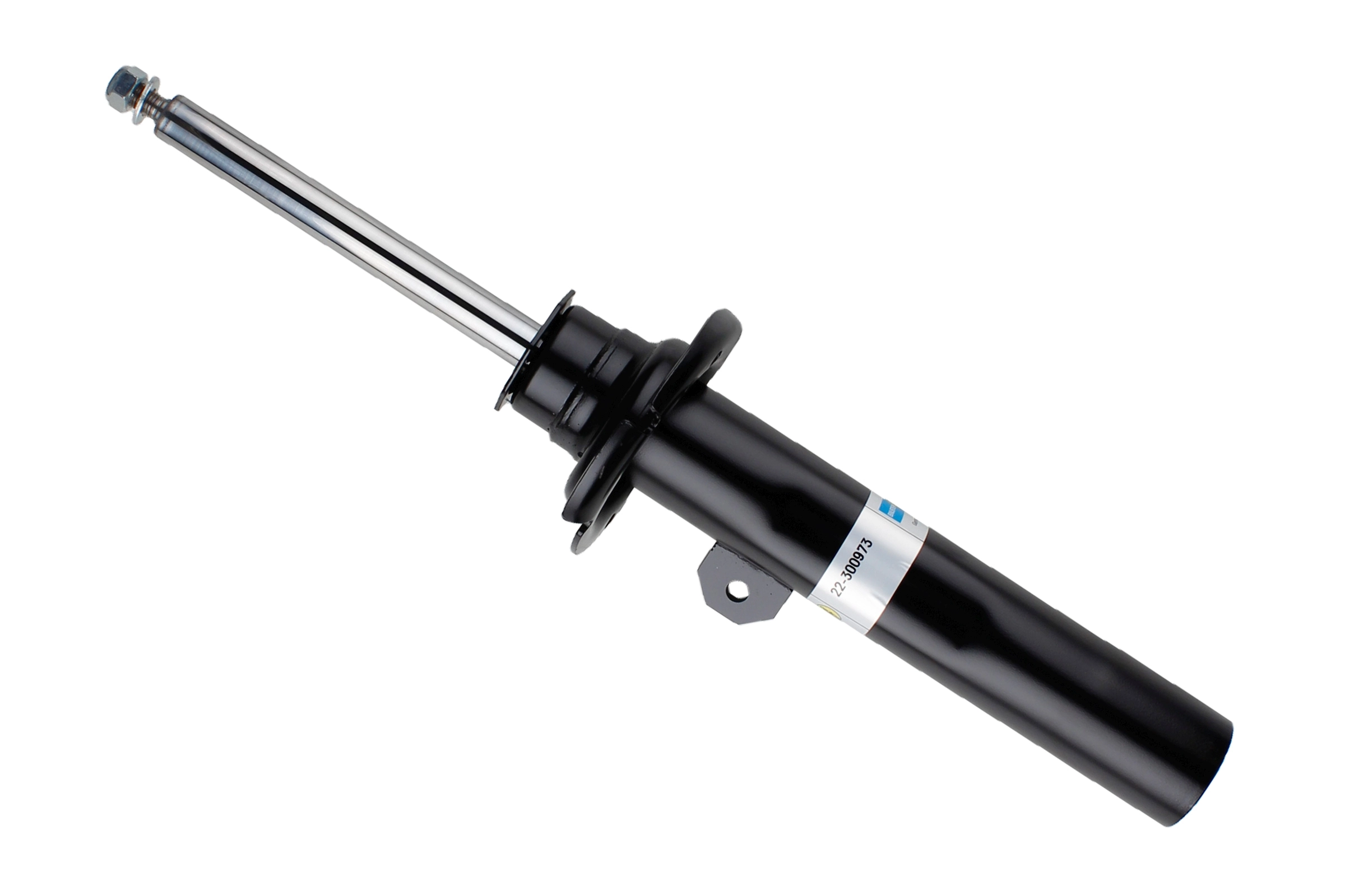 22300973 Bilstein