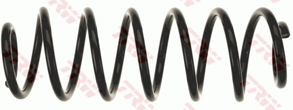 Muelle trasero para Ford Fiesta Mk6 CB1