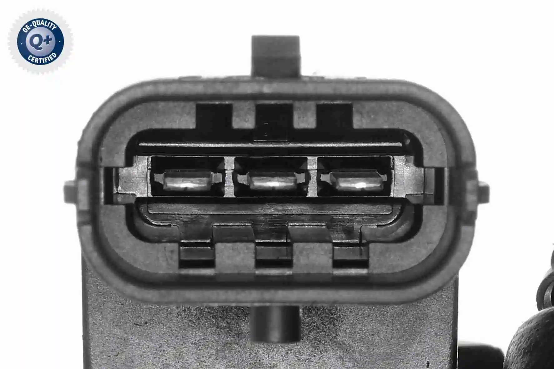 V461385 VEMO/Vaico Manguera del intercooler