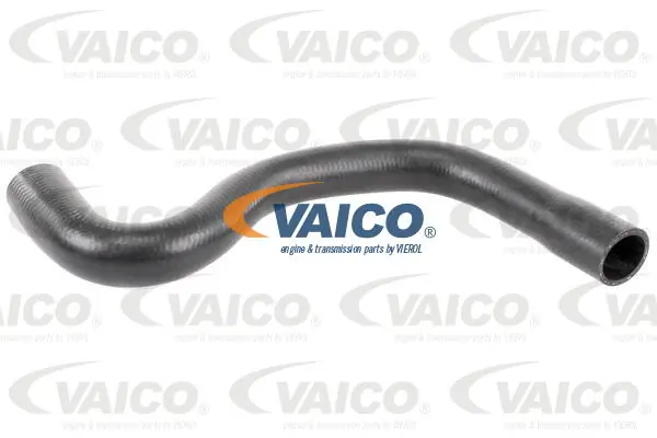 V420664 VEMO/Vaico