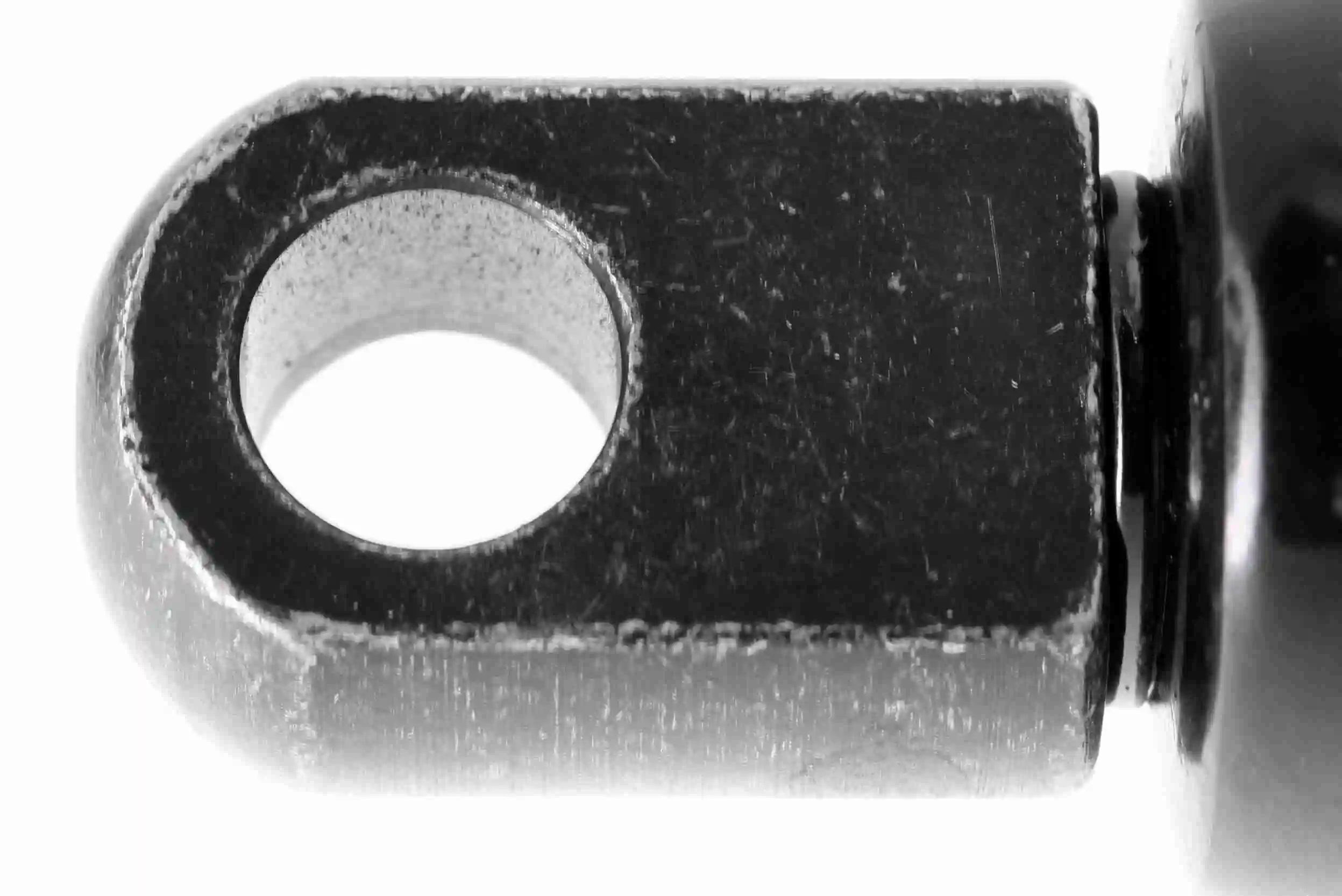 Amortiguador de maletero VEMO/Vaico V302041 precio, desde 14,96 EUR