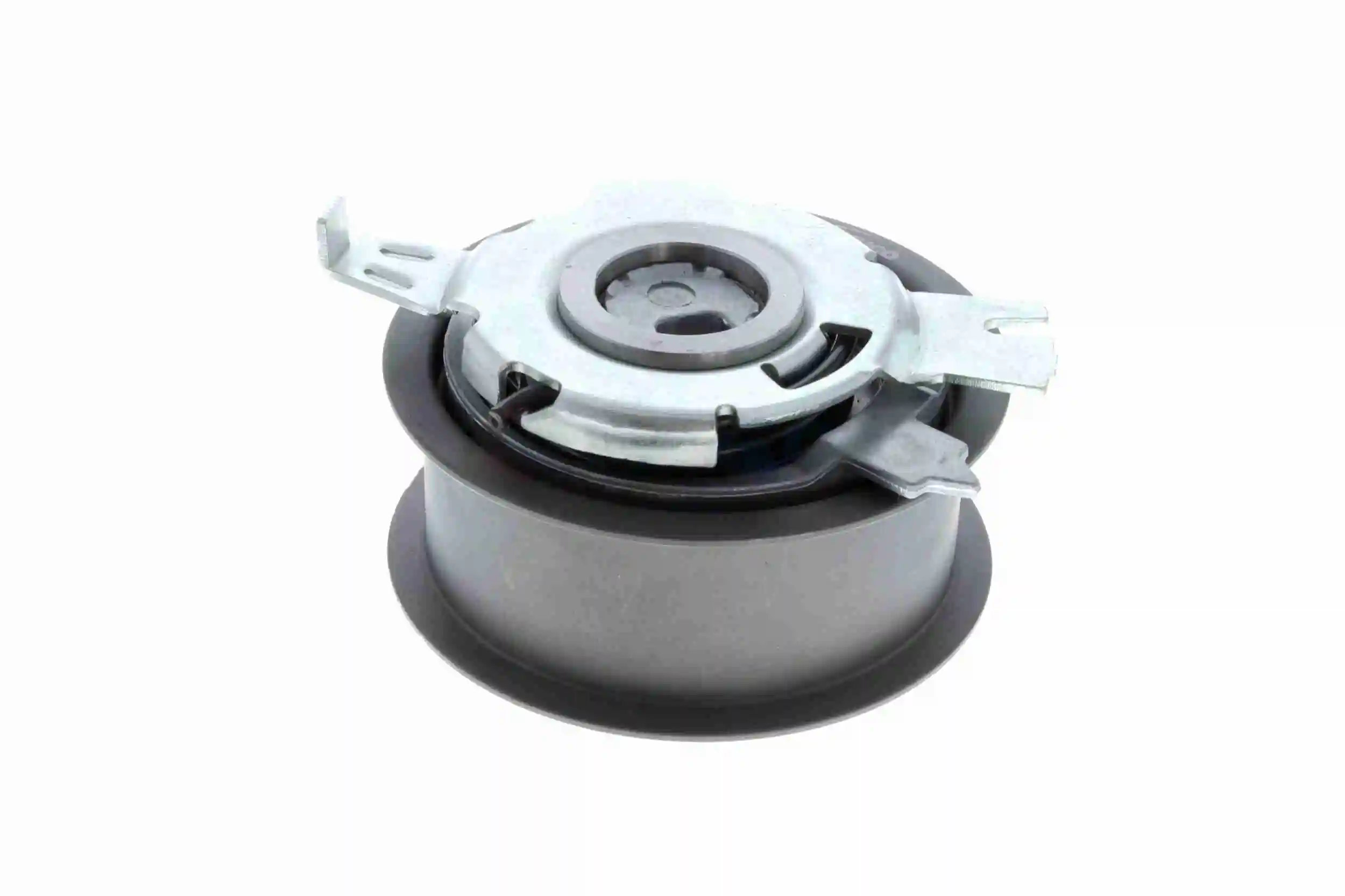 Rodillo, cadena de distribución Audi A6 4G2, 4GC