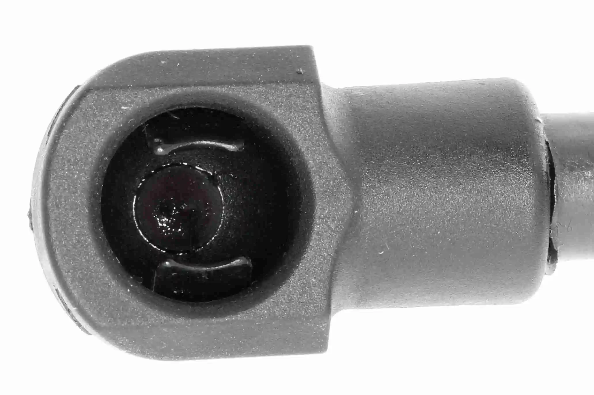 Amortiguador de maletero VEMO/Vaico V950134 precio, desde 16,49 EUR