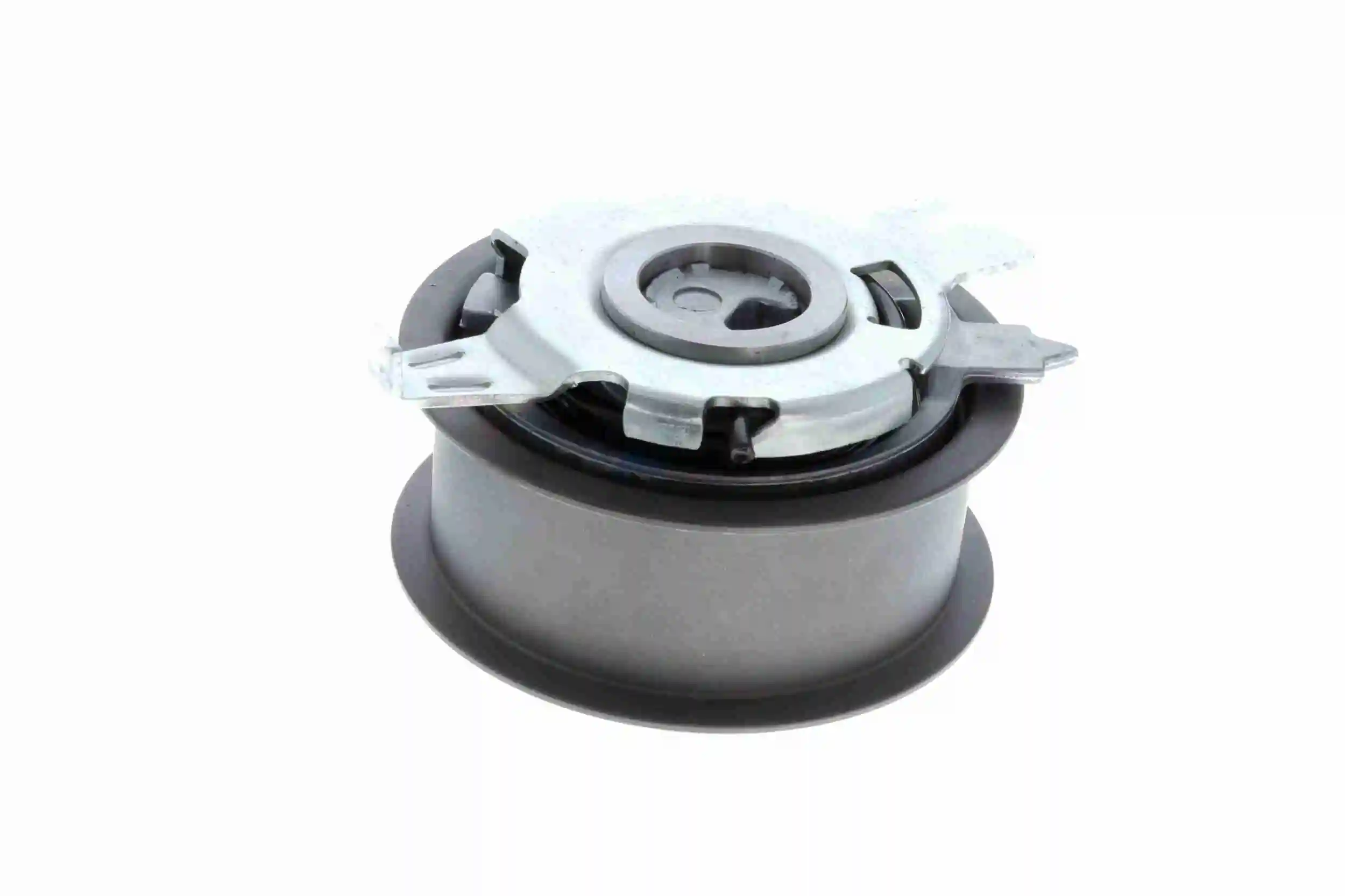 Rodillo, cadena de distribución Audi A6 4G2, 4GC