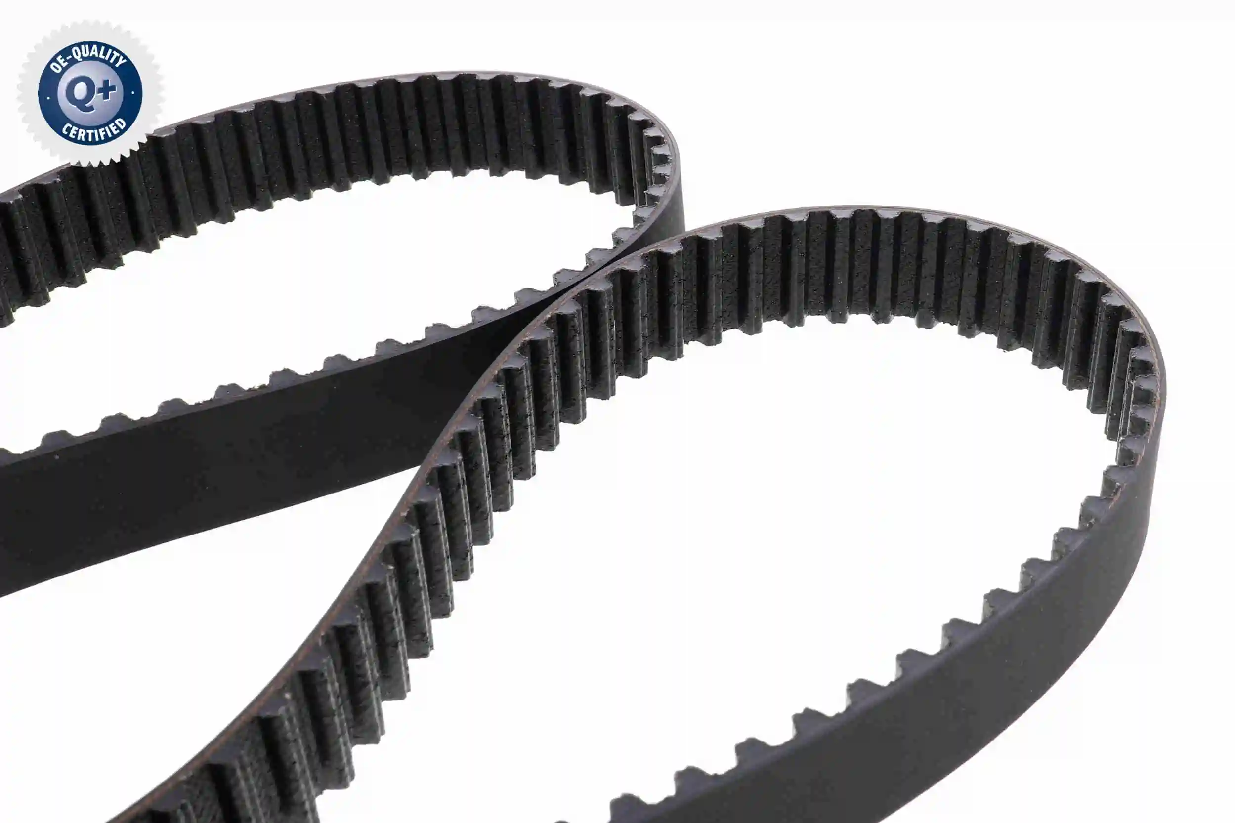  Correa distribución Ford Fiesta 