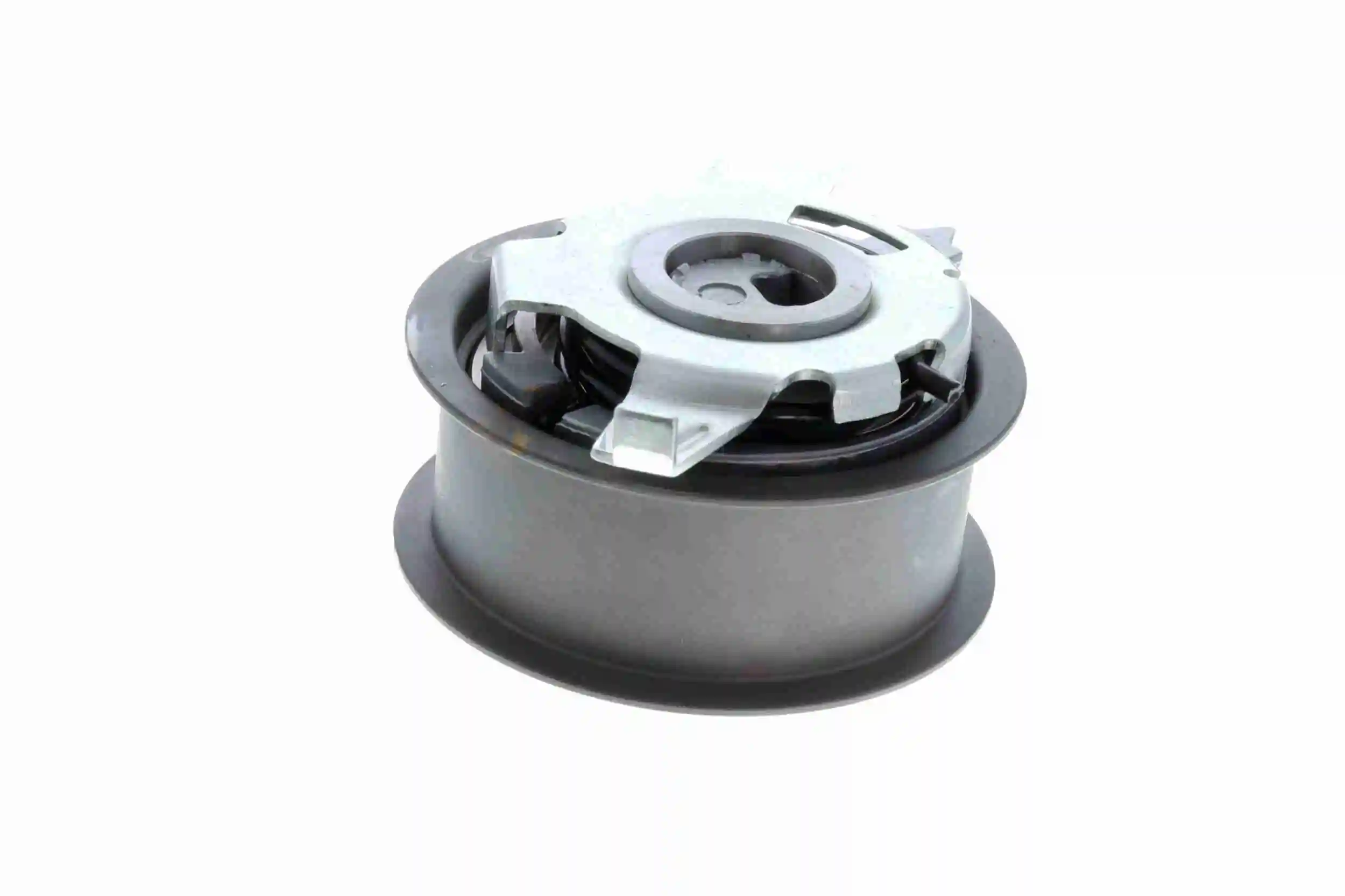 Rodillo, cadena de distribución Audi A6 4G2, 4GC