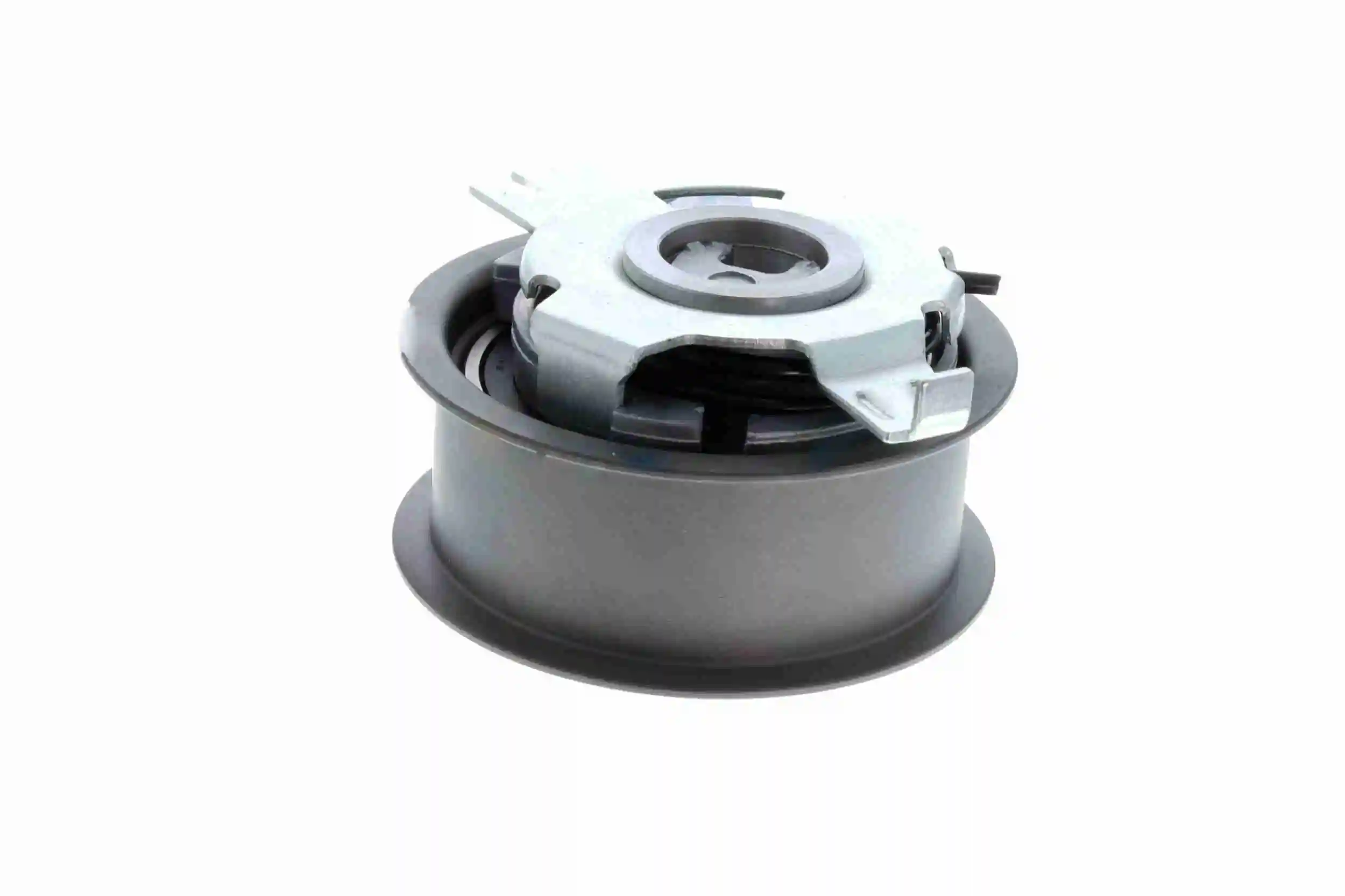 Rodillo, cadena de distribución Audi A6 4G2, 4GC