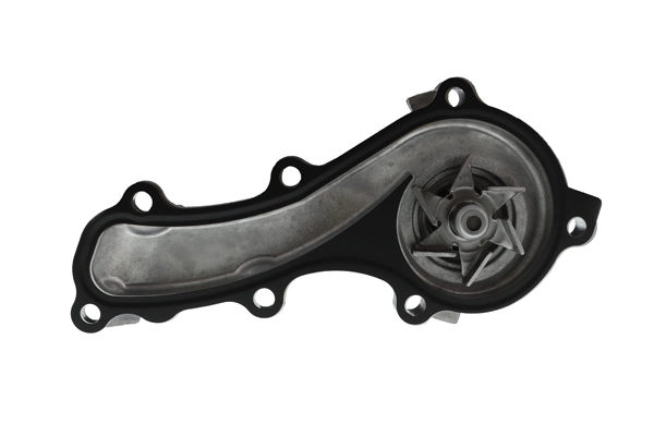 Bombeadora de agua Aisin WPN091 precio, desde 50,82 EUR