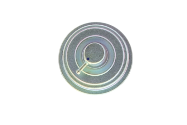 EV104 Magneti Marelli Válvula EGR