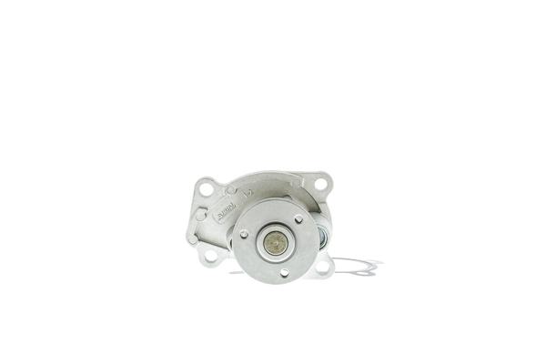 Bombeadora de agua Aisin WPN099V precio, desde 31,37 EUR