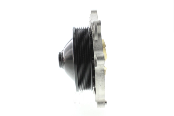 Bomba de agua P505 Dolz