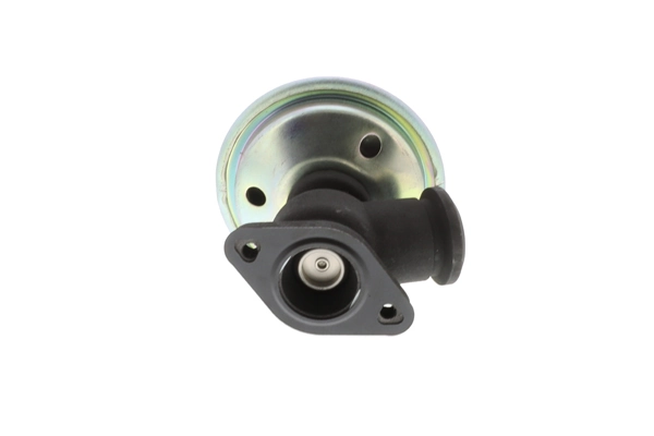 Comprar EV104 Magneti Marelli Válvula EGR