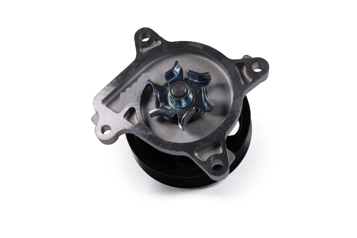 Motor de agua Renault (RVI) 210103TS0A