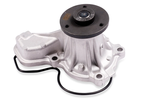 P7842 Hepu