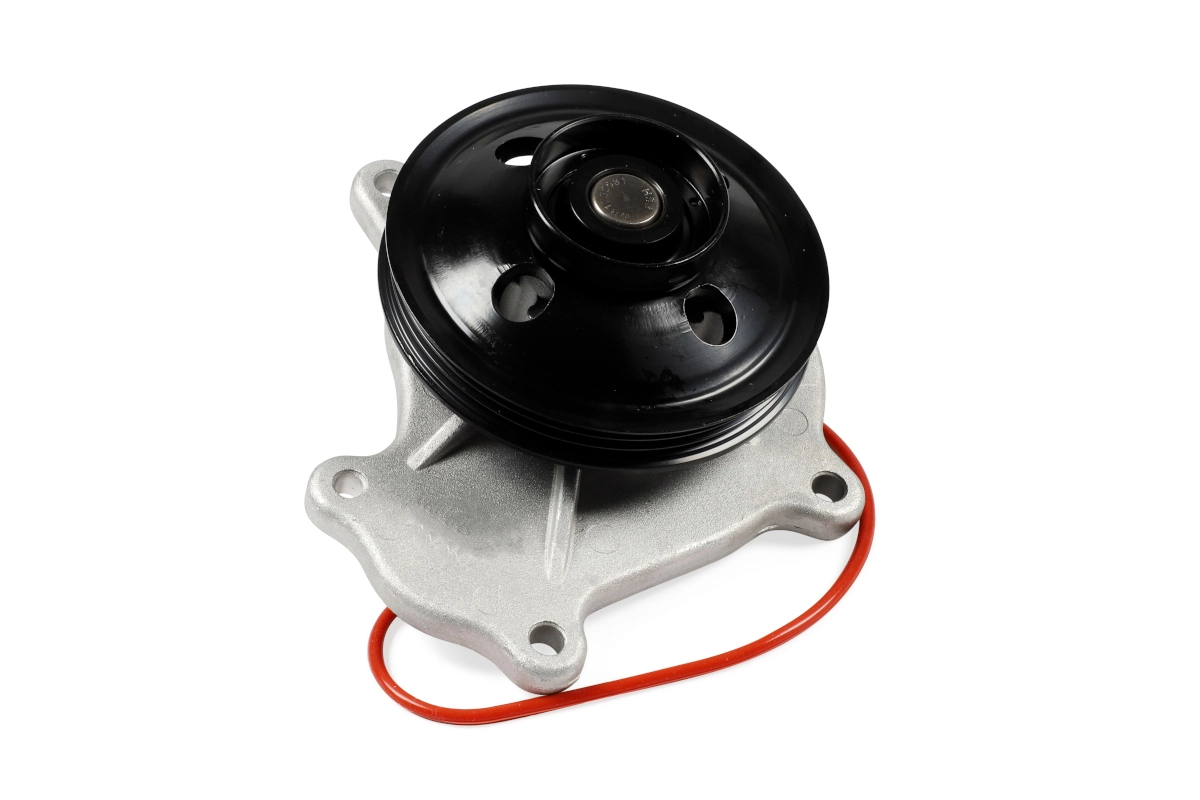 P7873 Hepu