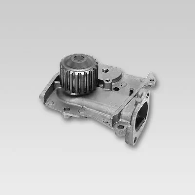 P719 Hepu