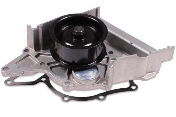 P539 Hepu