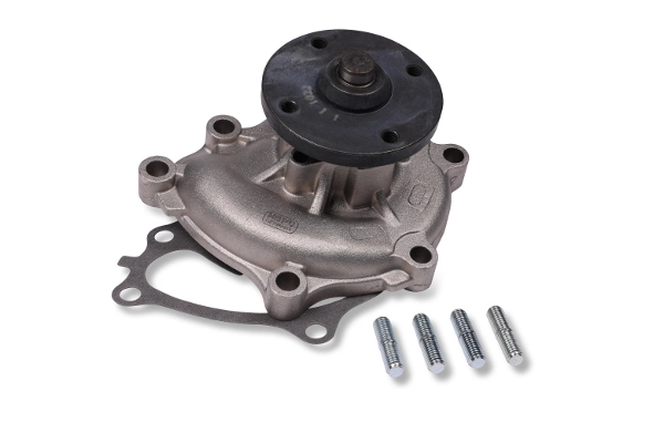 P7742 Hepu