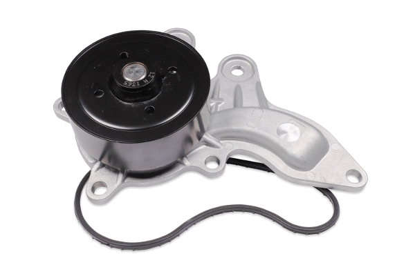 P7858 Hepu