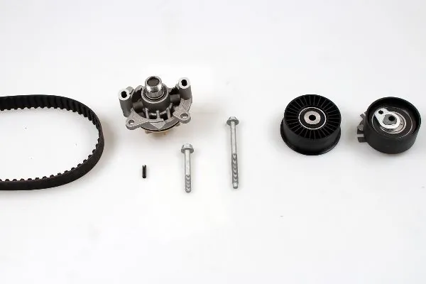 PK09560 Hepu
