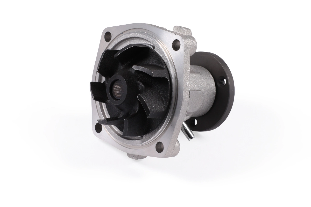 Jeep Grand Cherokee 1 Z