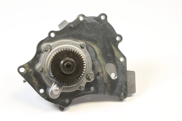 P696 Hepu