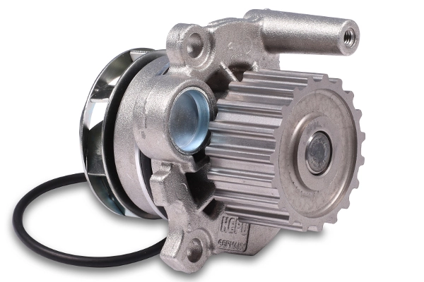 P549 Hepu