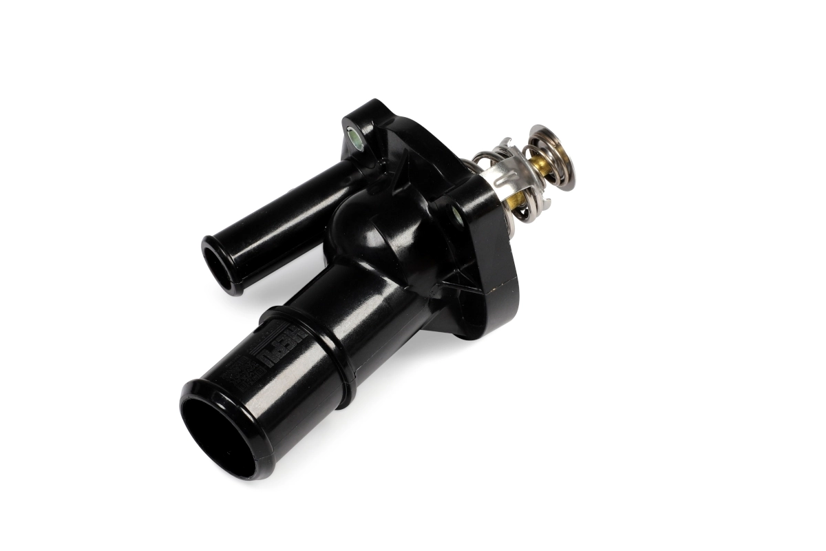 TM1396 Hepu