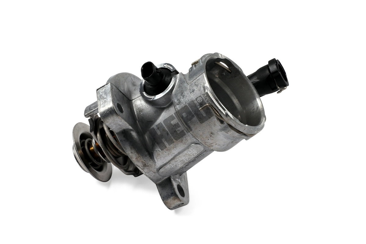 TM1409 Hepu
