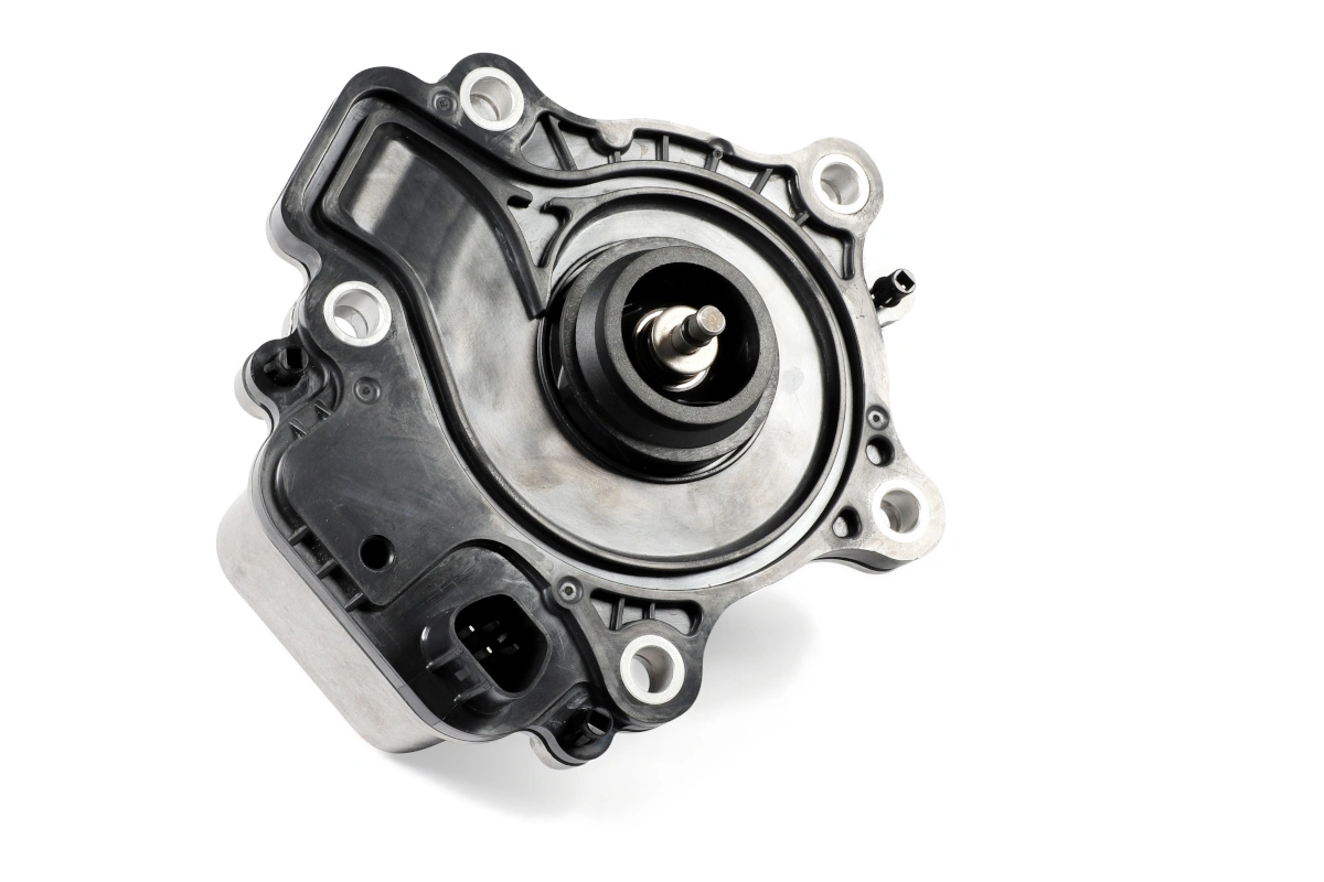 P7877 Hepu