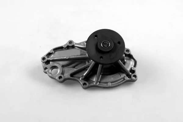 P7847 Hepu